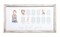 Pearhead My First Year Milestone Picture Frame, 0-12 Months Baby Photos, Baby Girl or Baby Boy Nursery Decor, Gender-Neutral Newborn Baby Gift, 13 Photo Inserts, Distressed Wood